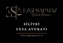 Silivri Ceza Avukatı
